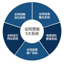 網絡營銷特性、營銷型網站與電子商務平臺開發運營的對比分析